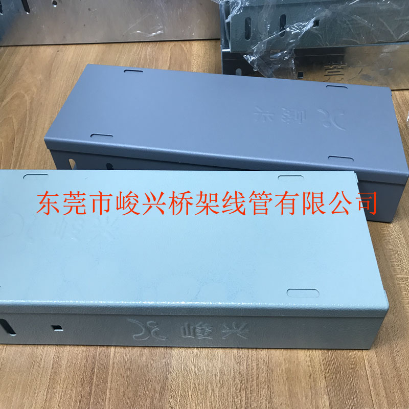 1 100x50噴涂 防火槽式橋架樣品